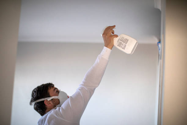 Best Certified Mold Removal  in Kimball, NE
