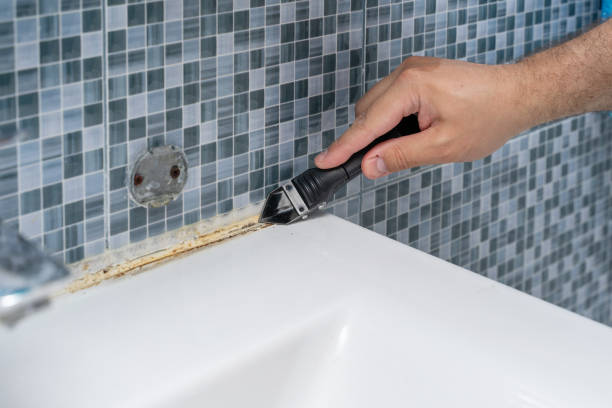 Best Mold Damage Repair  in Kimball, NE